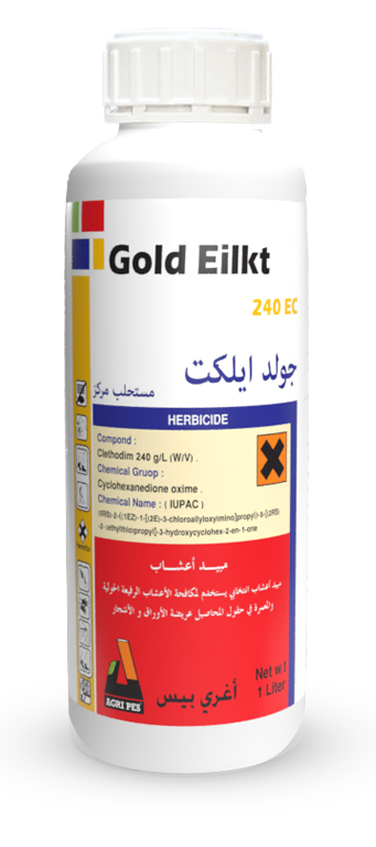 Gold Eilket